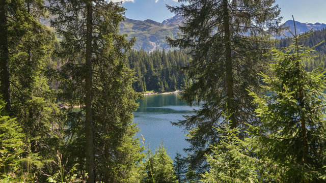 Fototapeta Lago semi nascosto dagli abeti verdi in alta montagna in estate 