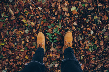 Autumn Background (Boots and Leaves)