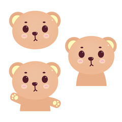 little bears