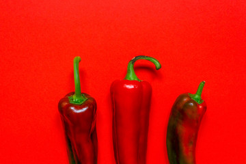 red hot chili pepper on red background.Flat lay top view