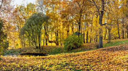 Bolotov Park, Tula region.