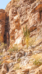 Arizona desert is diverse red slick rock cliffs surround Canyon Lake in the wilderness east of Phoenix with desert plants adding to the beauty of these landscape photographs