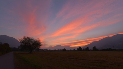 Naklejka na ściany i meble Magico tramonto con nuvole rosa e violette in aperta campgna con un albero in sottofondo
