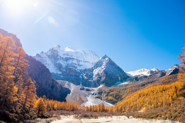 Beautiful view snow peak with  autumn leaves in  yading nature reserve, Sichuan, China.