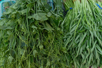Fresh Vegetable In market