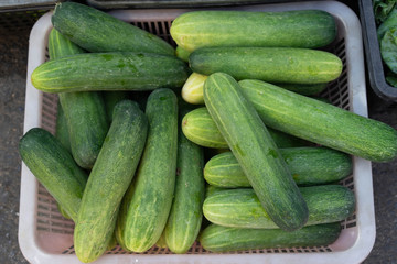 Cucumber In market Vegetable