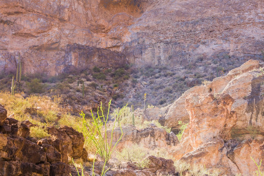 Arizona desert is diverse red slick rock cliffs surround Canyon Lake in the wilderness east of Phoenix with desert plants adding to the beauty of these landscape photographs