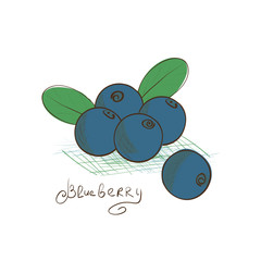 Blueberry. Drawing on a white background. Sketch. Doodle.