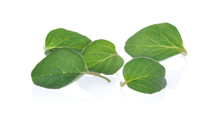 Naklejka premium oregano leaves on white background