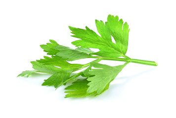 Obraz premium celery isolated on white background