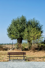 Paseo con banco/paseo con banco y &aacute;rbol detr&aacute;s en la dehesa boyal en Collado Villalba, provincia de Madrid. Espa&ntilde;a
