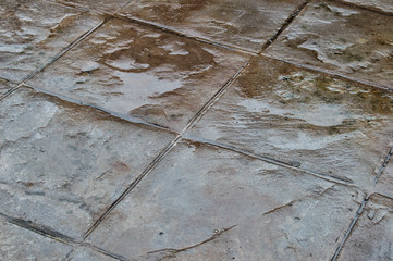 Asfalto mojado/ fondo con fragmento de asfalto mojado por la lluvia