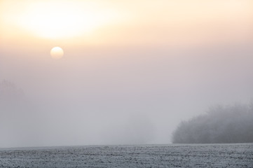 Sonnenaufgang hinter Nebelwand mit frostigem Boden