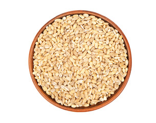 Barley groats in bowl