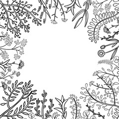 Decorative frame of hand-drawn  twigs with leaves, berries and flowers. Vector graphics. 
