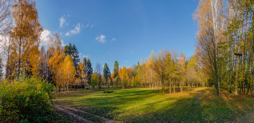 Panorama of the autumn park