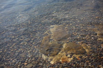 水面　Water surface
