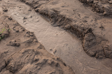 Wet land, road outside the city, swamp surface