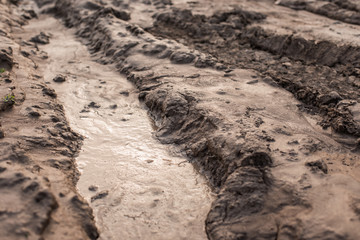 Wet land, road outside the city, swamp surface