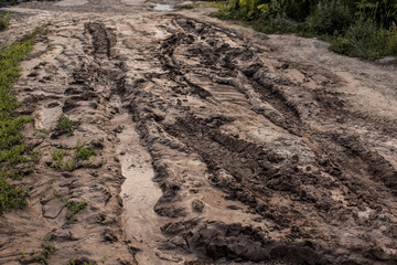 Wet land, road outside the city, swamp surface