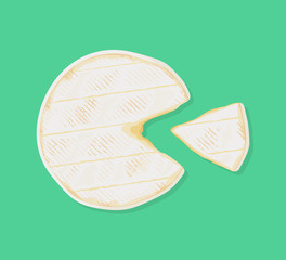 Cylinder of fresh creamy camembert de Normandie cheese with a cut out piece, top view. Traditional french dairy product. Vector hand drawn illustration.  - obrazy, fototapety, plakaty