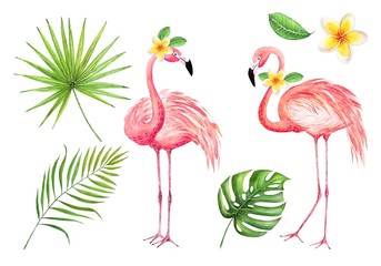 set of watercolor drawings of pink flamingos and palm leaves on a white background