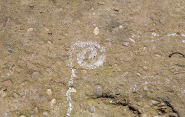 spiral snail train on concrete