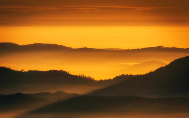 Coucher de Soleil sur la Forêt Noire