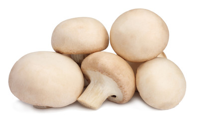 Mushrooms isolated on white background