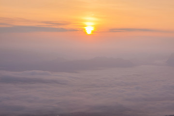 Beautiful scenery of nature and mist at Phukradung,Thailand