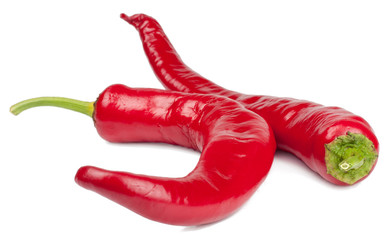 Pepper bitter on white background isolated