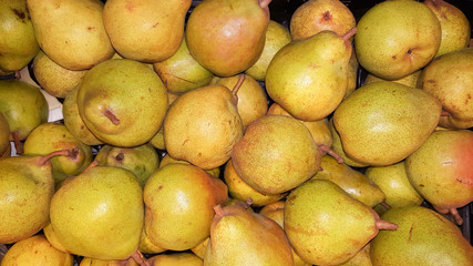 fruit pear yellow on background wallpaper