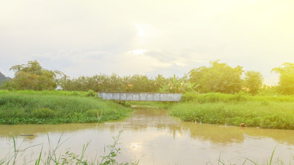 pond with bridge in local country at thailand