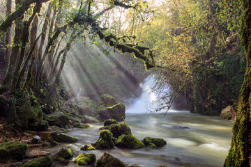 Fototapeta premium waterfalls of Trevi nel lazio. a Creek in the Woods in autumn 