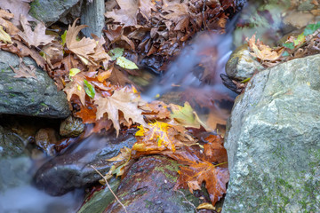 The brook falls between moss-covered stones and autumn leaves
