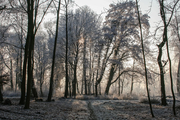 Winter im Schloßpark in Neuwied