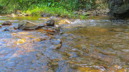 water of the stream in the natural park at Phatthalung, Thailand
