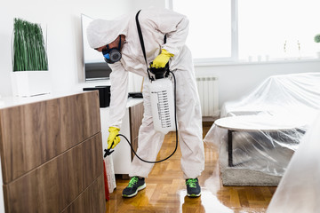 Exterminator in work wear spraying pesticide with sprayer. - obrazy, fototapety, plakaty