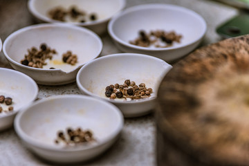 cooking thai food in a cooking class