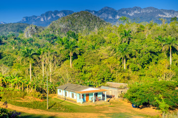 Vinales valley in Cuba, countryside, Cuban tobacco farm