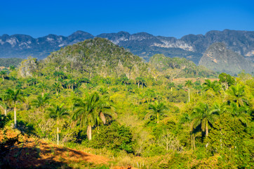 Fototapeta na wymiar Vinales valley in Cuba, beautiful countryside, UNESCO Heritage