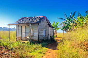 Fototapeta na wymiar Vineales, rural abandoned Cuban tobacco farm