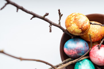 Top view of colourful dyed easter eggs on a white background with ament branches in a vase.