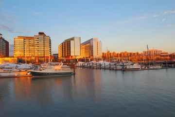Boats and buildings at the DC Waterfront - obrazy, fototapety, plakaty