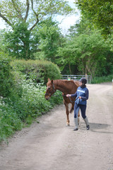 Horsewoman in special gear leads a horse along the road