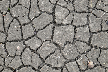 Cracked earth during dry season