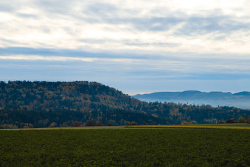 landscape with green field and blue sky