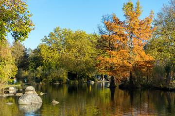 Fototapeta premium Herbssttimmung am See im Westpark München