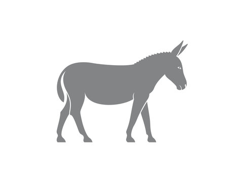 Donkey logo. Isolated donkey on white background