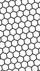 Black honeycomb on a white background. Isometric geometry. Vertical image orientation. 3D illustration